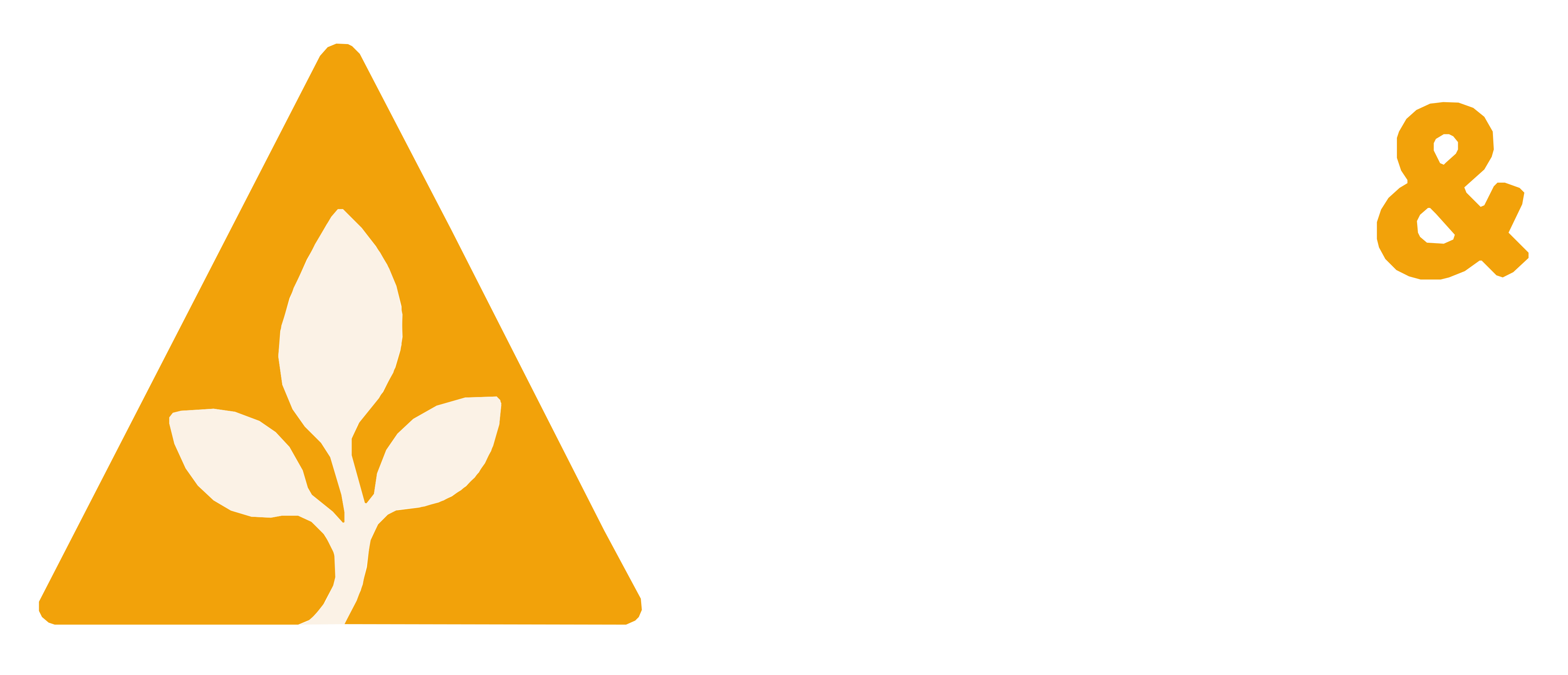 Leaf & Light Studio